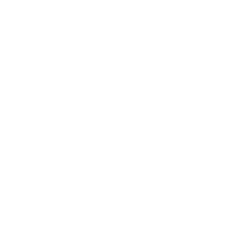 Icon 4h